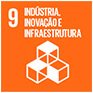Indústria, Inovação e Infraestrutura - Amaro Aviation
