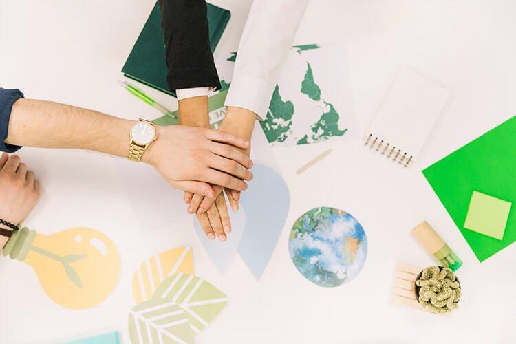 A importância das parcerias no desenvolvimento de práticas ESG