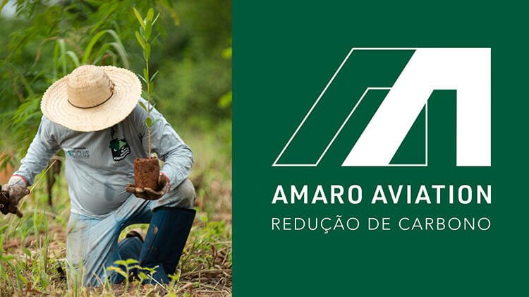 Redução de carbono através do reflorestamento